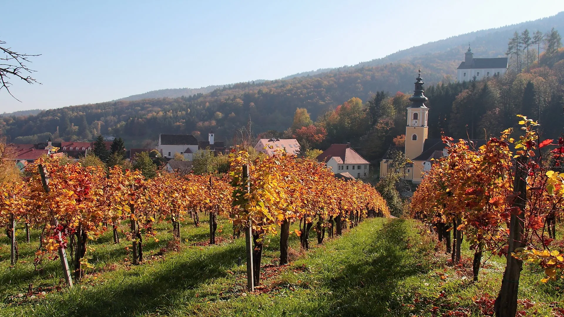 Blick auf das herbstliche Sulmtal mit Weinbergen, buntem Laub und Kirchen von Bad Schwanberg in der Südweststeiermark.