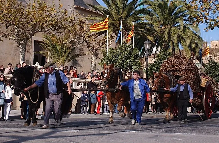 Traditionsumzug mit Pferdewagen und katalanischen Fahnen in Cambrils vor Palmenkulisse und zahlreichen Zuschauern