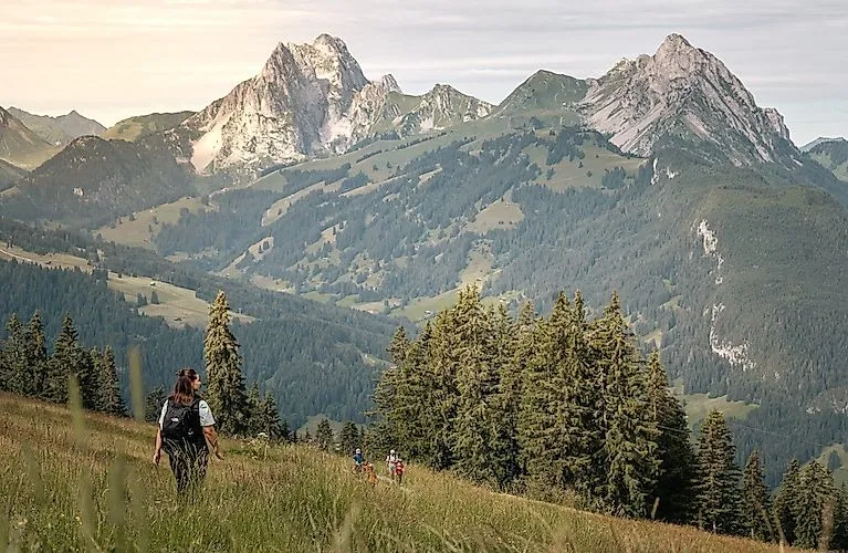 Wanderer auf dem Blumenweg bei Schönried mit Blick auf das beeindruckende Bergpanorama im Saanenland.