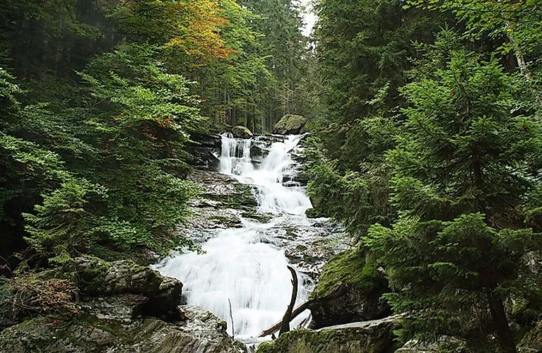 Tosender Wasserfall inmitten dichter Wälder bei Bodenmais, ein beliebtes Ziel für Wanderer in der Region.