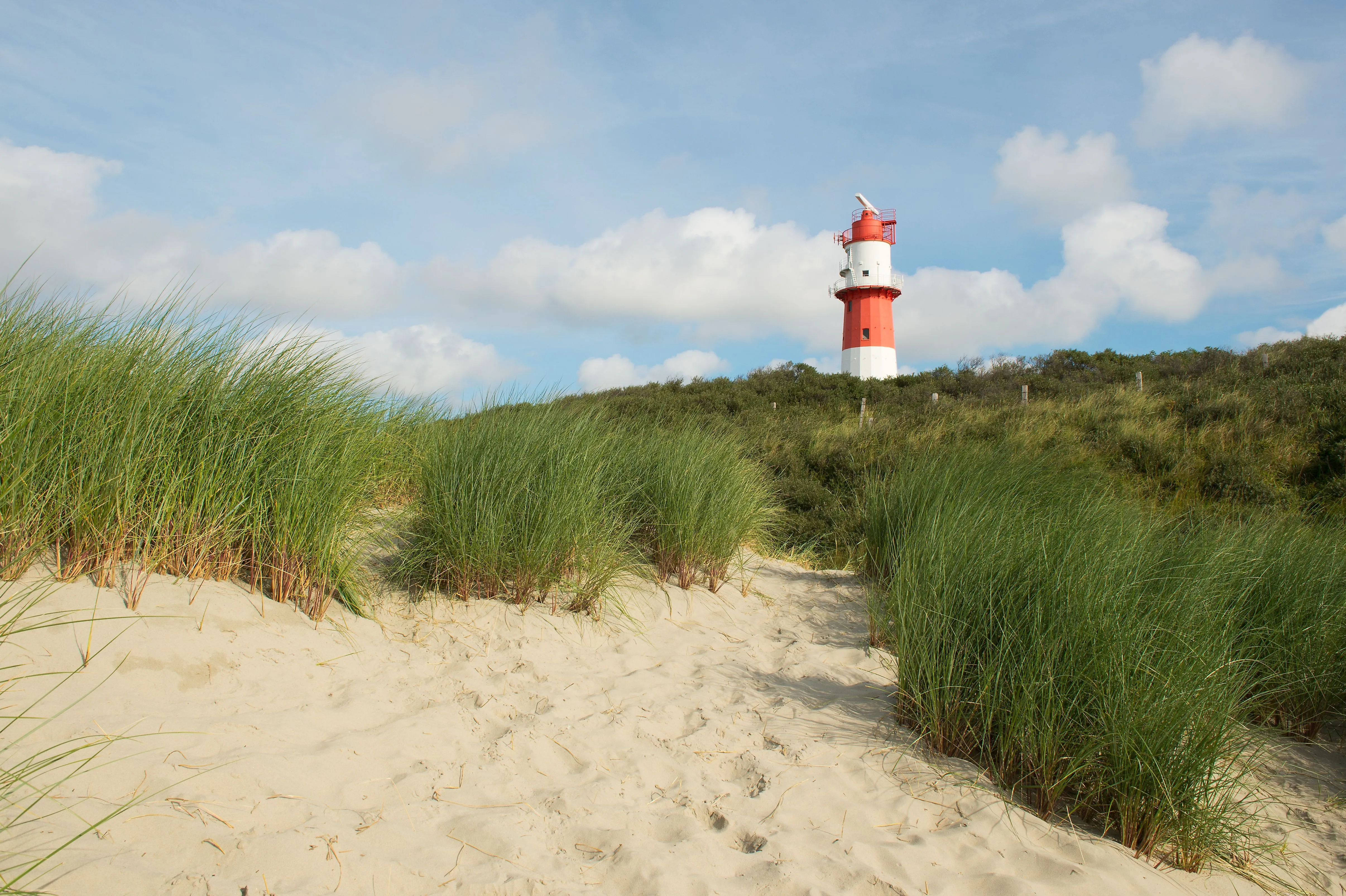 Roter Leuchtturm auf Borkum ragt aus den Dünen mit Blick auf Sandstrand und blaue Sommerwolken.