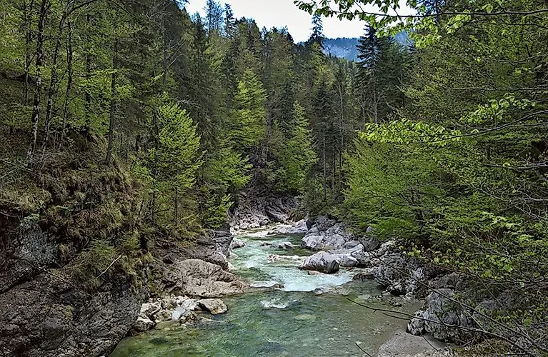 Wildromantische Brandenberger Ache in Tirol mit türkisfarbenem Wasser und umgebendem Bergwald