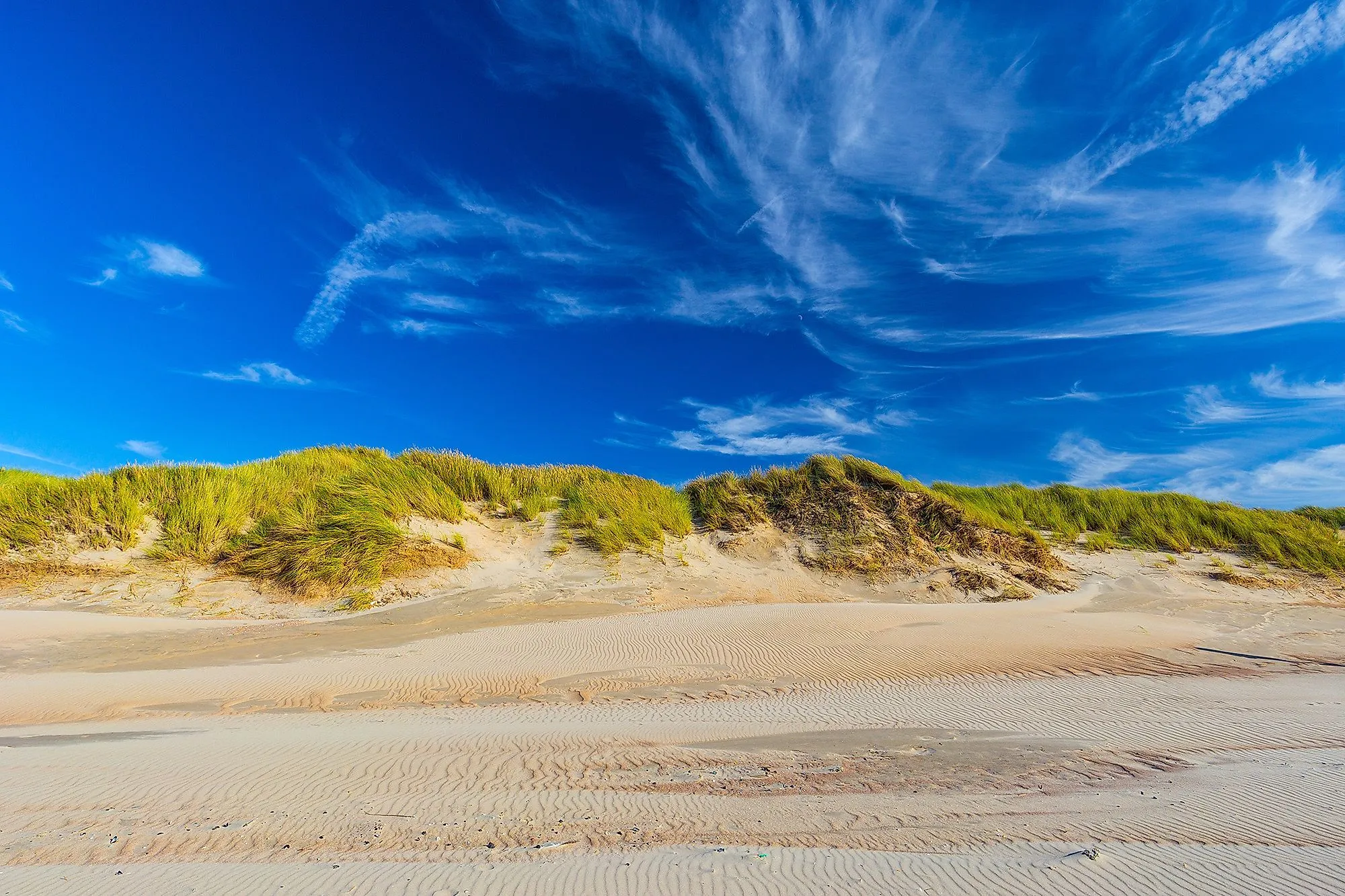Sanddünen mit Grasbewuchs in De Haan an der belgischen Küste bei blauem Himmel