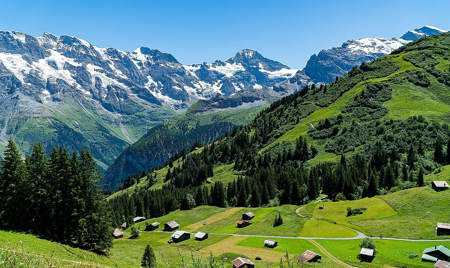 Sommerliche Alpenlandschaft bei Mürren mit Blick auf die Berner Alpen