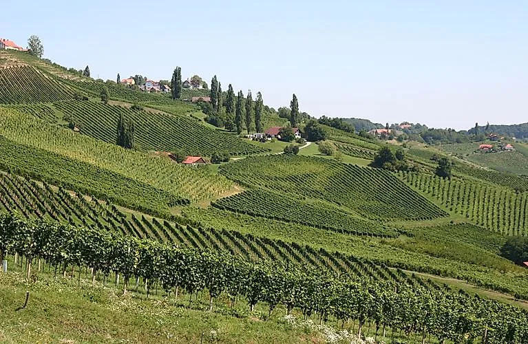 Weitläufige grüne Weinberge mit Bauernhäusern und Hügeln in der Südsteiermark.