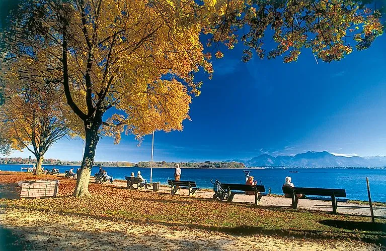 Spaziergänger sitzen auf Bänke unter herbstlich gefärbten Bäumen am Ufer des Chiemsees mit Blick auf die Alpen