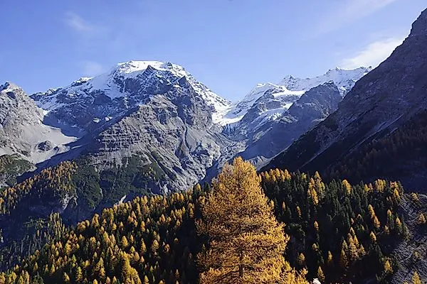 Foreste autunnali e cime innevate vicino a Elm in Svizzera - scatto panoramico con larici e vedute lontane