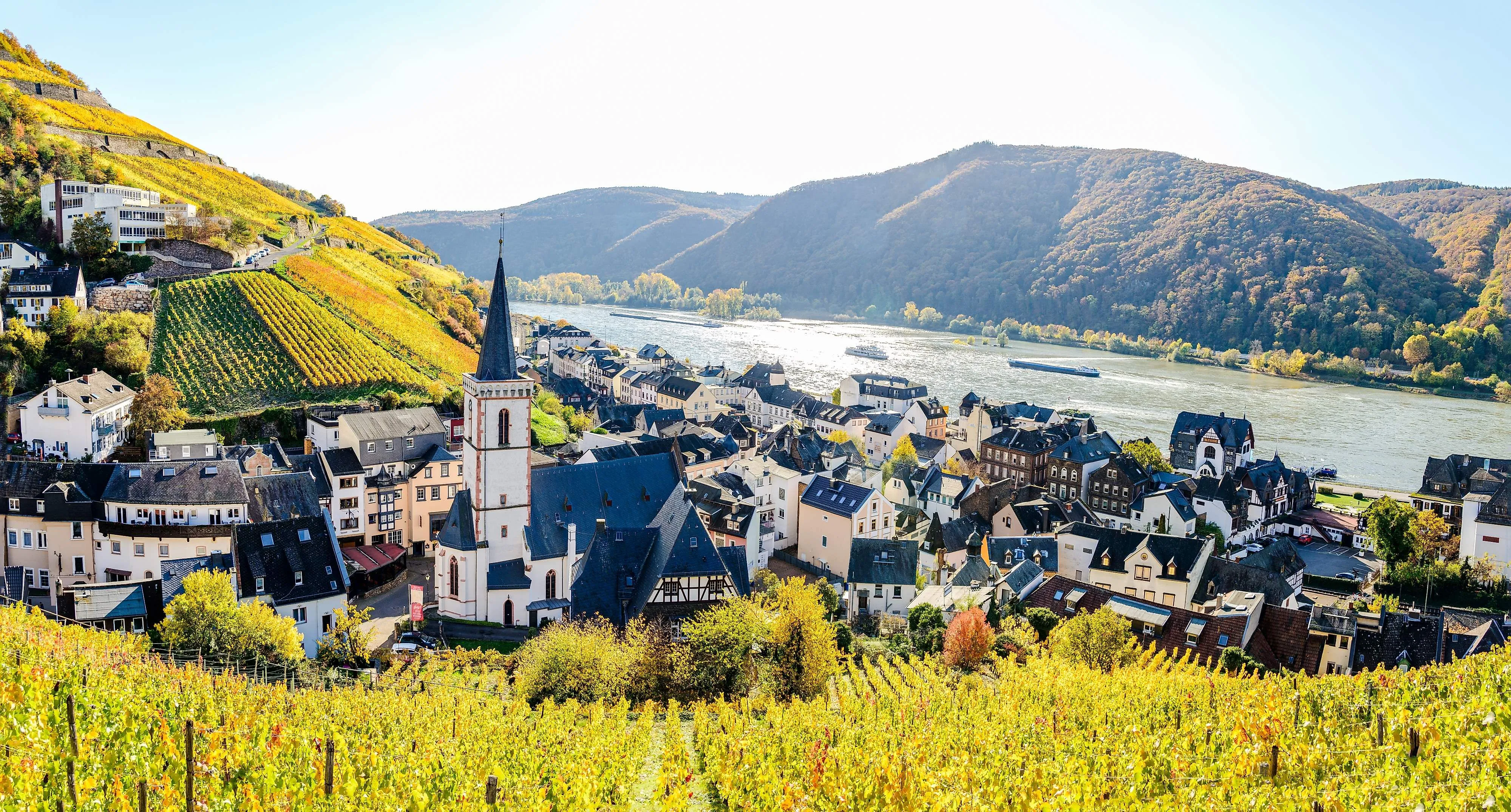 Blick auf Assmannshausen am Rhein mit Weinbergen und Schiff im Sommer