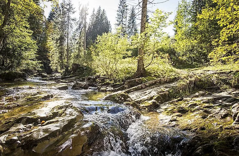 Sonnenlicht auf dem Schwarzwasserbach im Wald nahe dem Walser Omgang im Kleinwalsertal