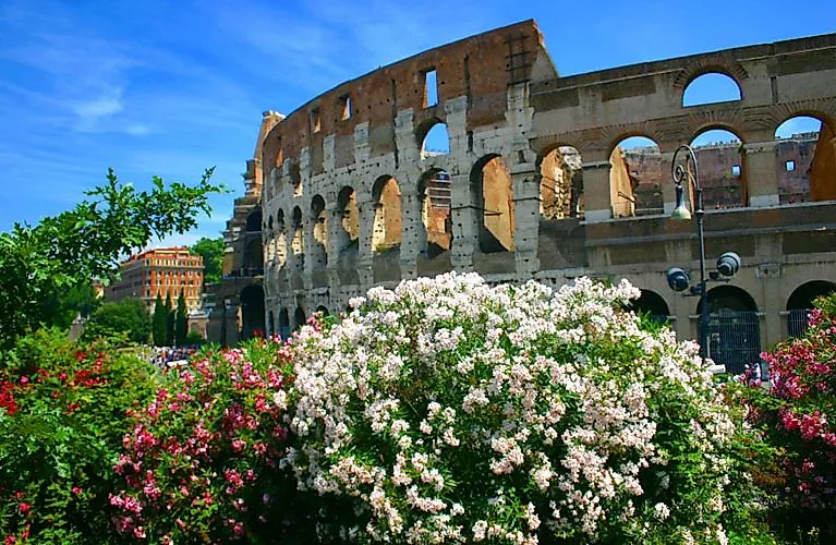 Das römische Kolosseum umgeben von blühenden Sträuchern an einem Sommertag