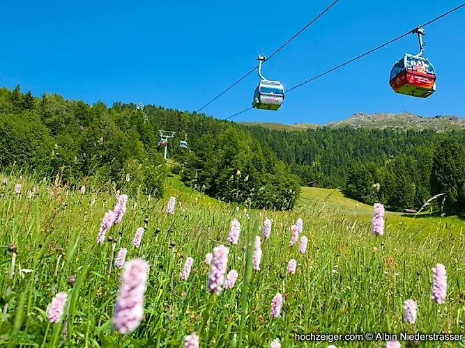 Gondelbahn im Sommer über blühender Almwiese am Hochzeiger im Pitztal bei strahlend blauem Himmel.