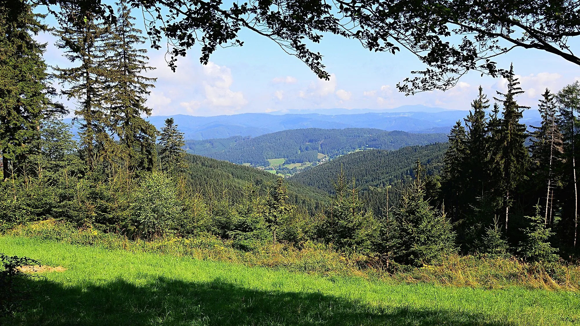 Aussicht auf die bewaldeten Hügel der Beskiden bei Kohútka mit grünen Wiesen im Vordergrund.