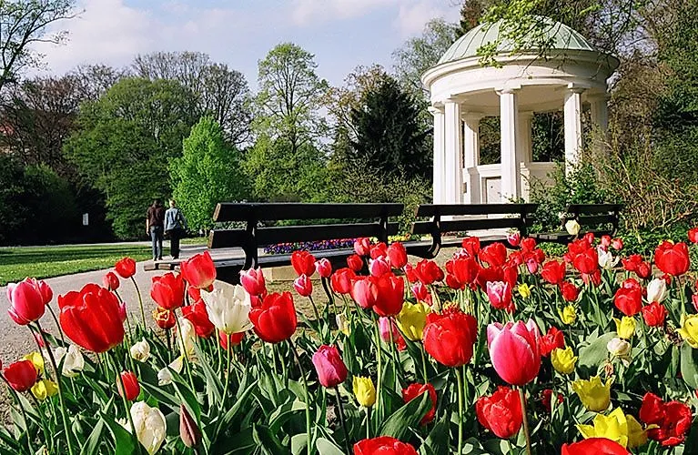 Frühling im Kurpark Bad Salzuflen mit bunten Tulpen und Blick auf den Leopoldsprudel.