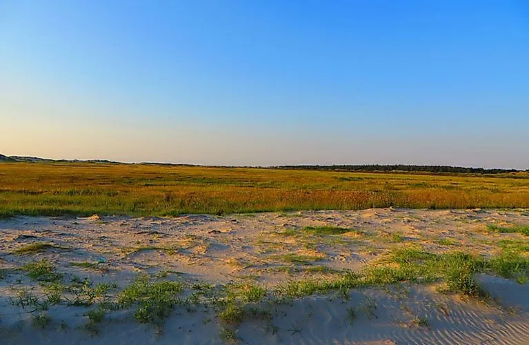 Weite Salzwiesenlandschaft bei Schillig im Abendlicht mit blauem Himmel und Blick in die norddeutsche Natur