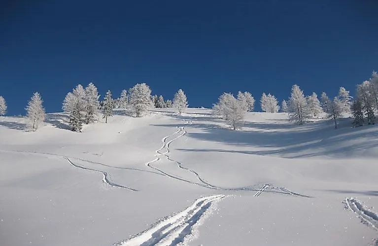 Unberührte Schneelandschaft und frische Skispuren bei strahlendem Winterhimmel