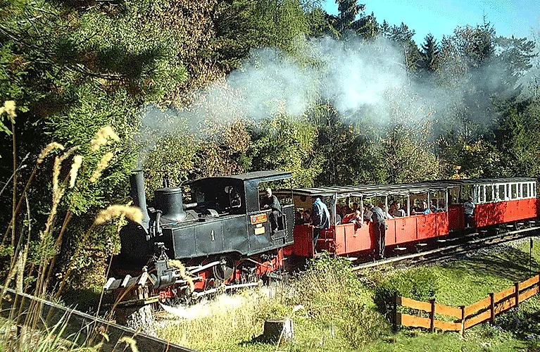 Historische Dampflok der Achenseebahn fährt durch eine bewaldete Landschaft bei Maurach am Achensee.