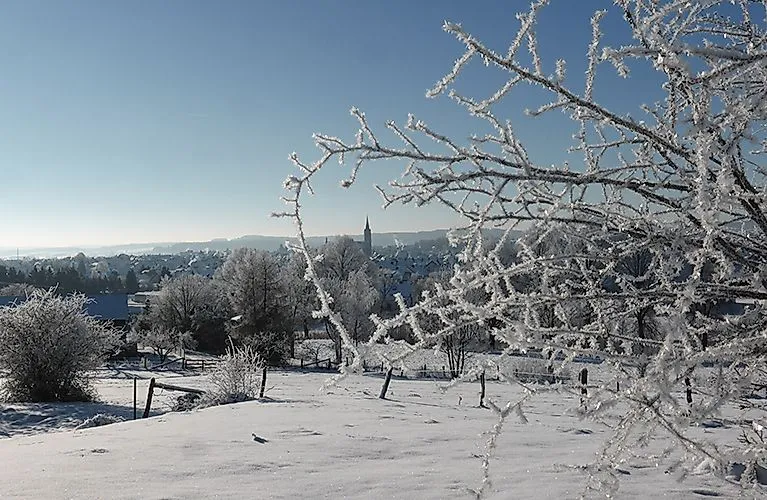 Paisaje invernal con ramas heladas en primer plano y una vista sobre Medebach cubierto de nieve con la torre de una iglesia a lo lejos.