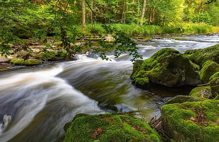 Flusslauf mit Moosfelsen im Wald des Ilztals im Dreiburgenland