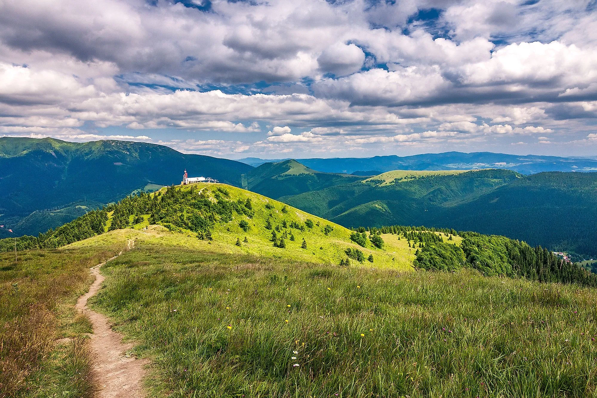 Wanderweg auf einer grünen Alm bei Donovaly in der Großen Fatra