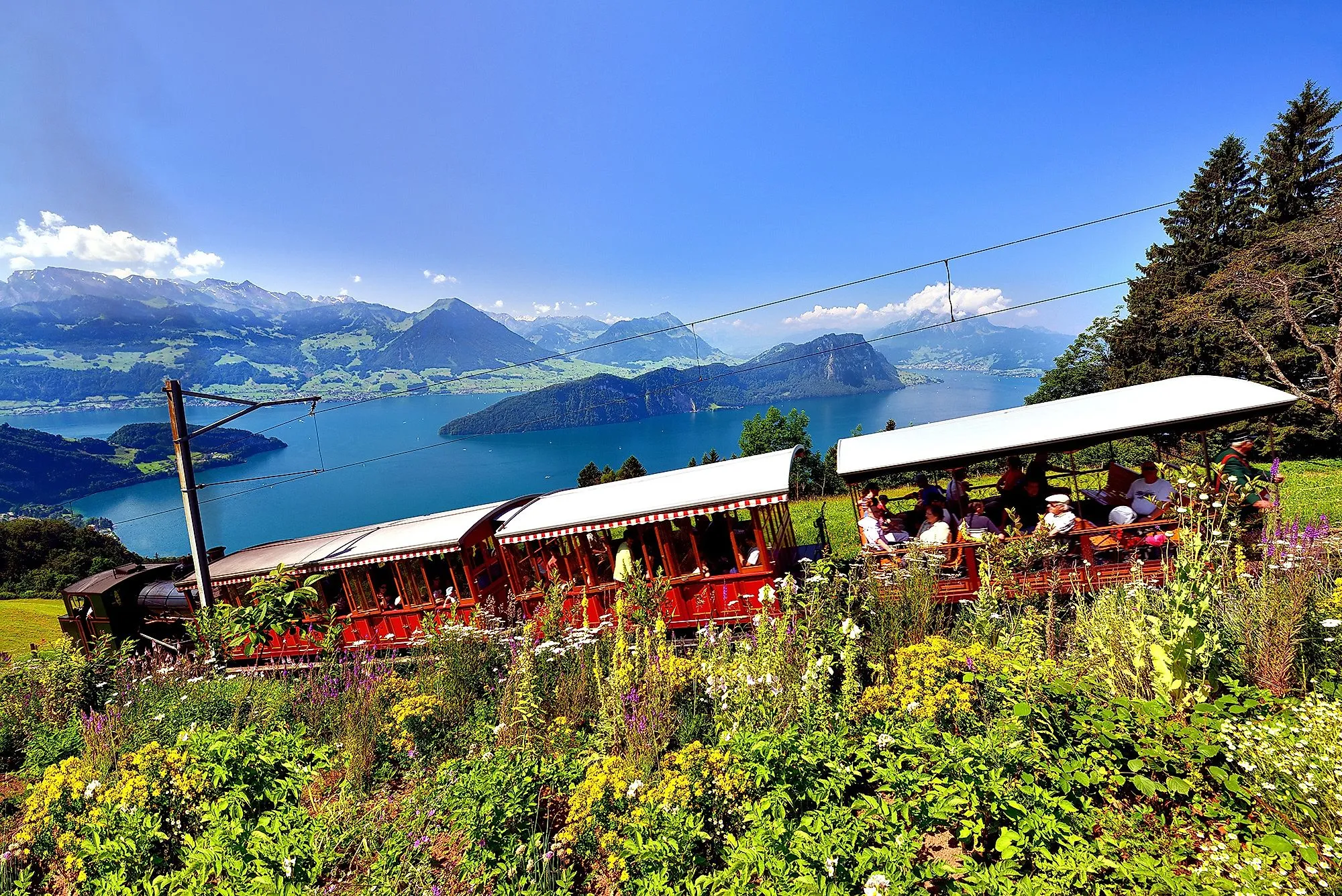 Rote Zahnradbahn fährt am Rigi entlang mit Blick auf den Vierwaldstättersee und Berge