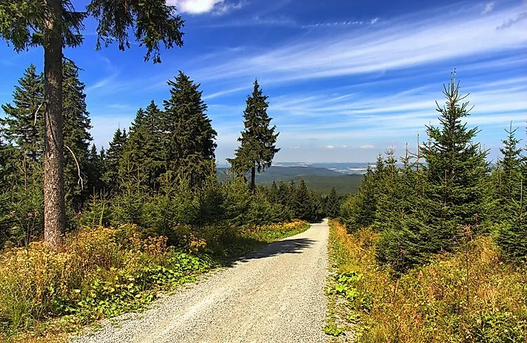 Schotterweg durch einen sonnigen Nadelwald bei Oberwiesenthal im Erzgebirge – Sommeridylle inmitten grüner Natur.