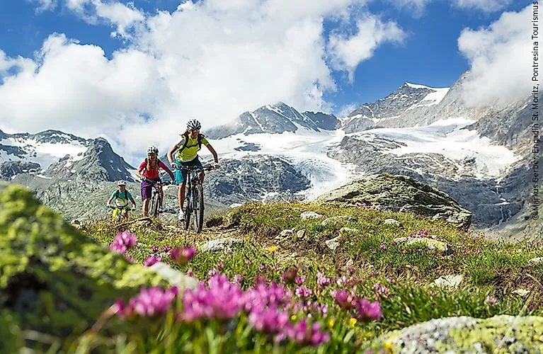 Drei Mountainbiker fahren auf einem alpinen Trail mit Blick auf Gletscher und blühende Alpenwiese.
