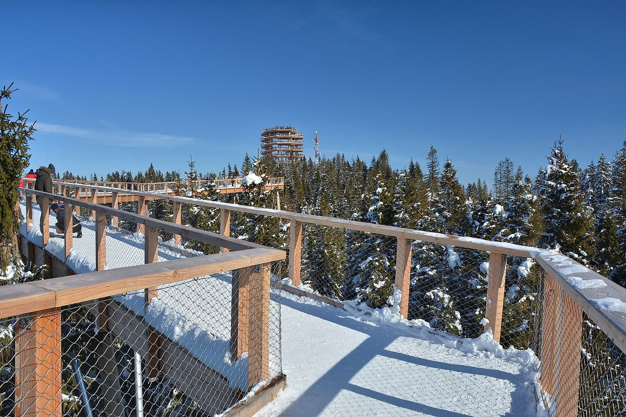 Spaziergang auf dem verschneiten Baumwipfelpfad Bachledka im Winter