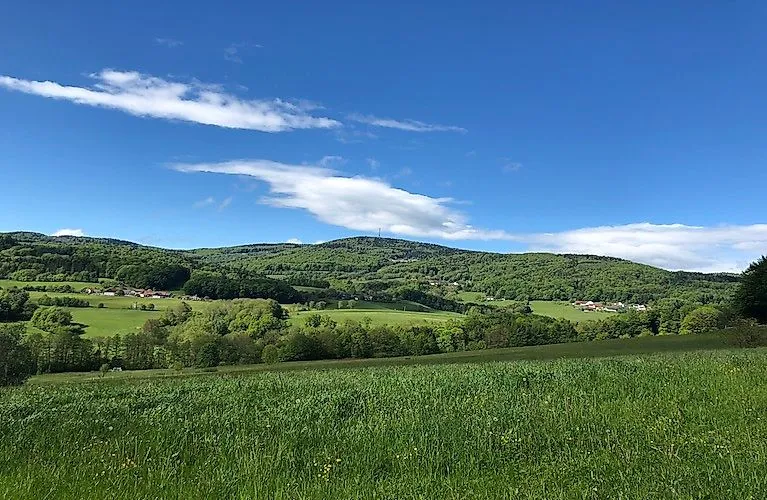 Sommerlandschaft bei Schöfweg mit grünen Wiesen, Wäldern und sanften Hügeln rund um den Brotjacklriegel