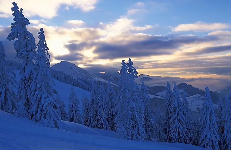 Traumhafte Winterlandschaft mit verschneiten Bäumen und Abendstimmung in der SkiWelt Wilder Kaiser – ideal zum Skifahren in Hopfgarten.