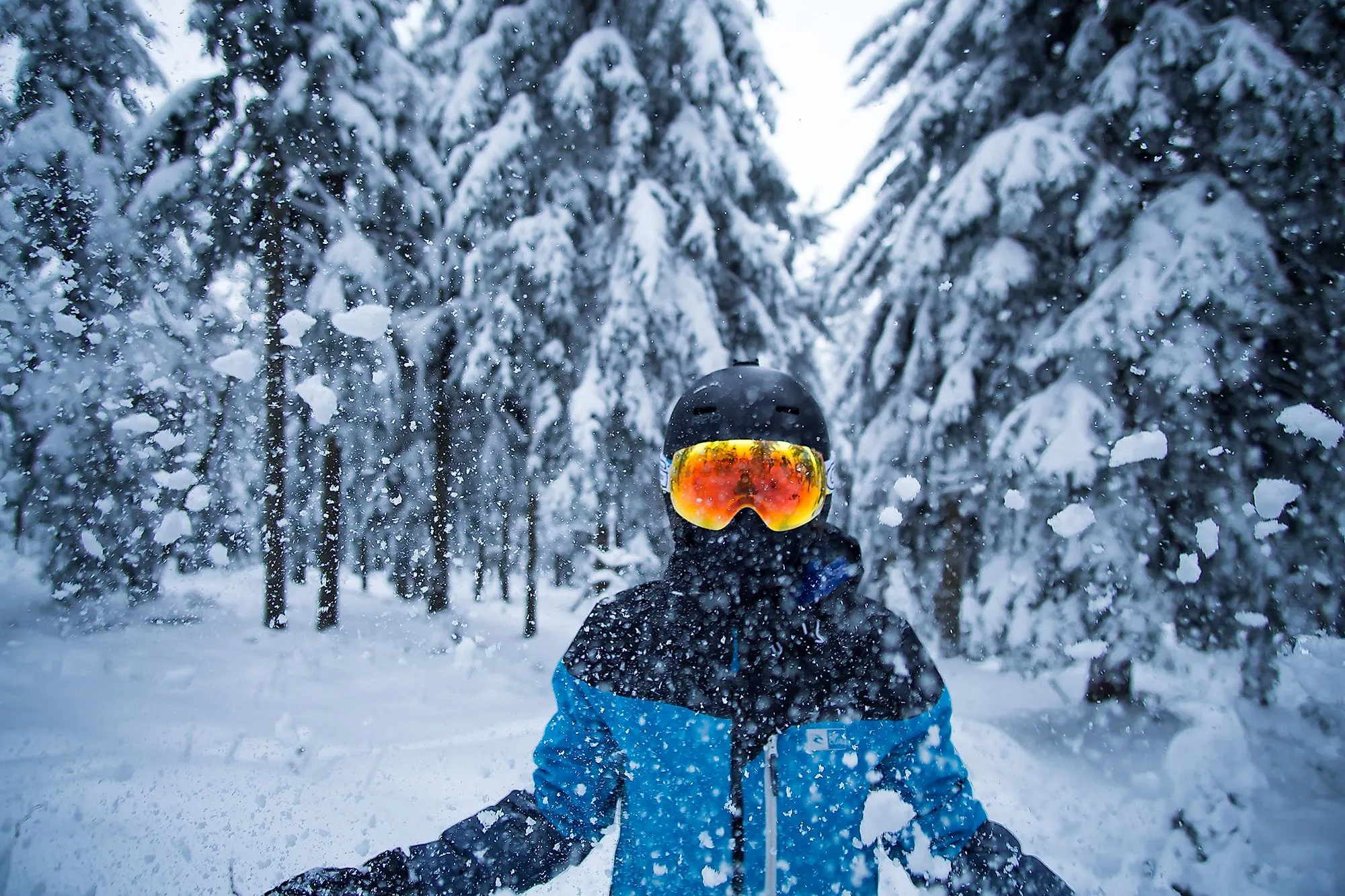 Skifahrer im verschneiten Wald bei Klinovec im Erzgebirge, Schnee wirbelt auf.