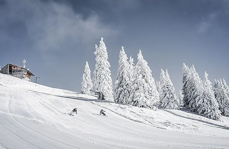 Zwei Skifahrer auf frisch präparierter Piste zwischen verschneiten Bäumen im Skigebiet Schönried-Saanenmöser.
