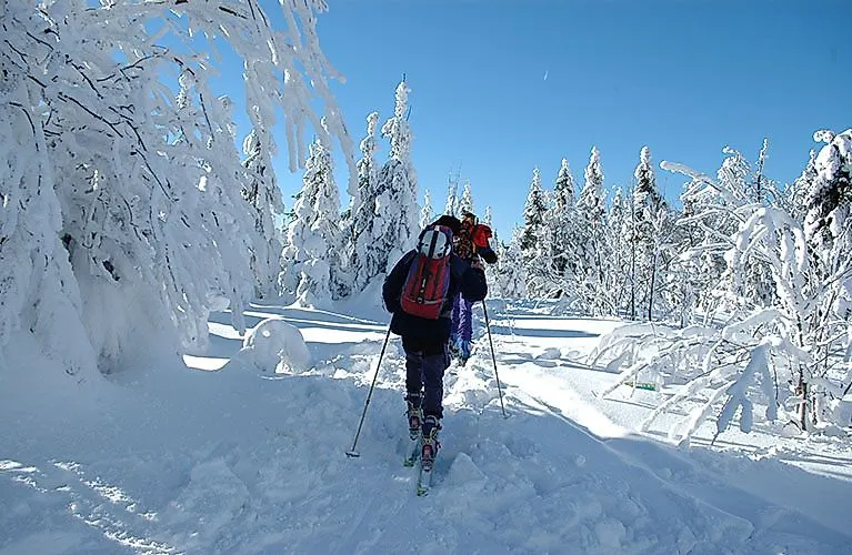 Lyžiari v zasneženom zimnom lese pod modrou oblohou vo Fichtelbergu.