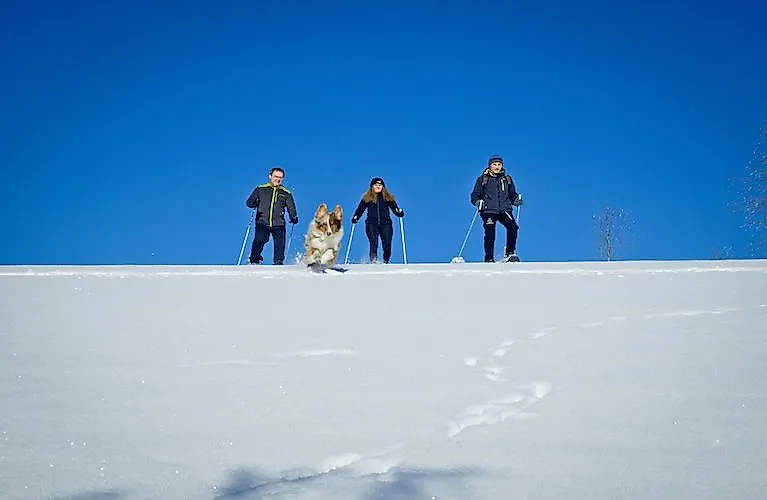 Zimná túra na snežniciach pri Neuschönau v Bavorskom lese pod jasnou modrou oblohou