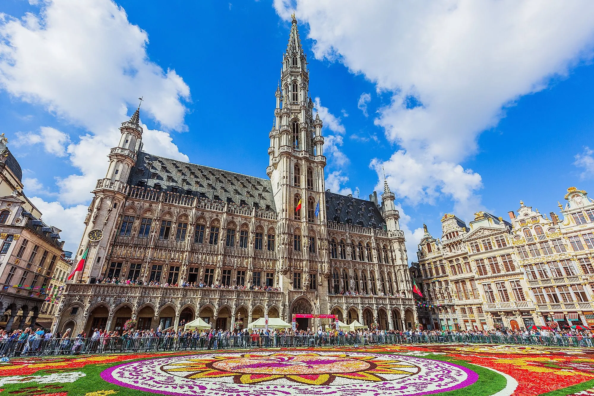 Historisches Rathaus von Brüssel mit blumengeschmücktem Grand Place bei Sonnenschein