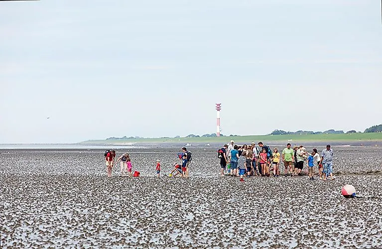 Gruppe von Menschen bei Wattwanderung vor Küstenlandschaft mit Leuchtturm