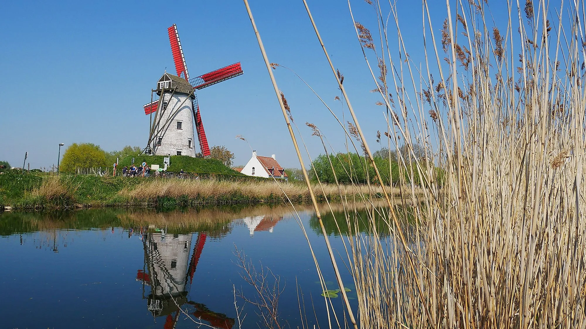 Historische Windmühle mit rotem Flügel in Belgien, gespiegelt im ruhigen Wasser