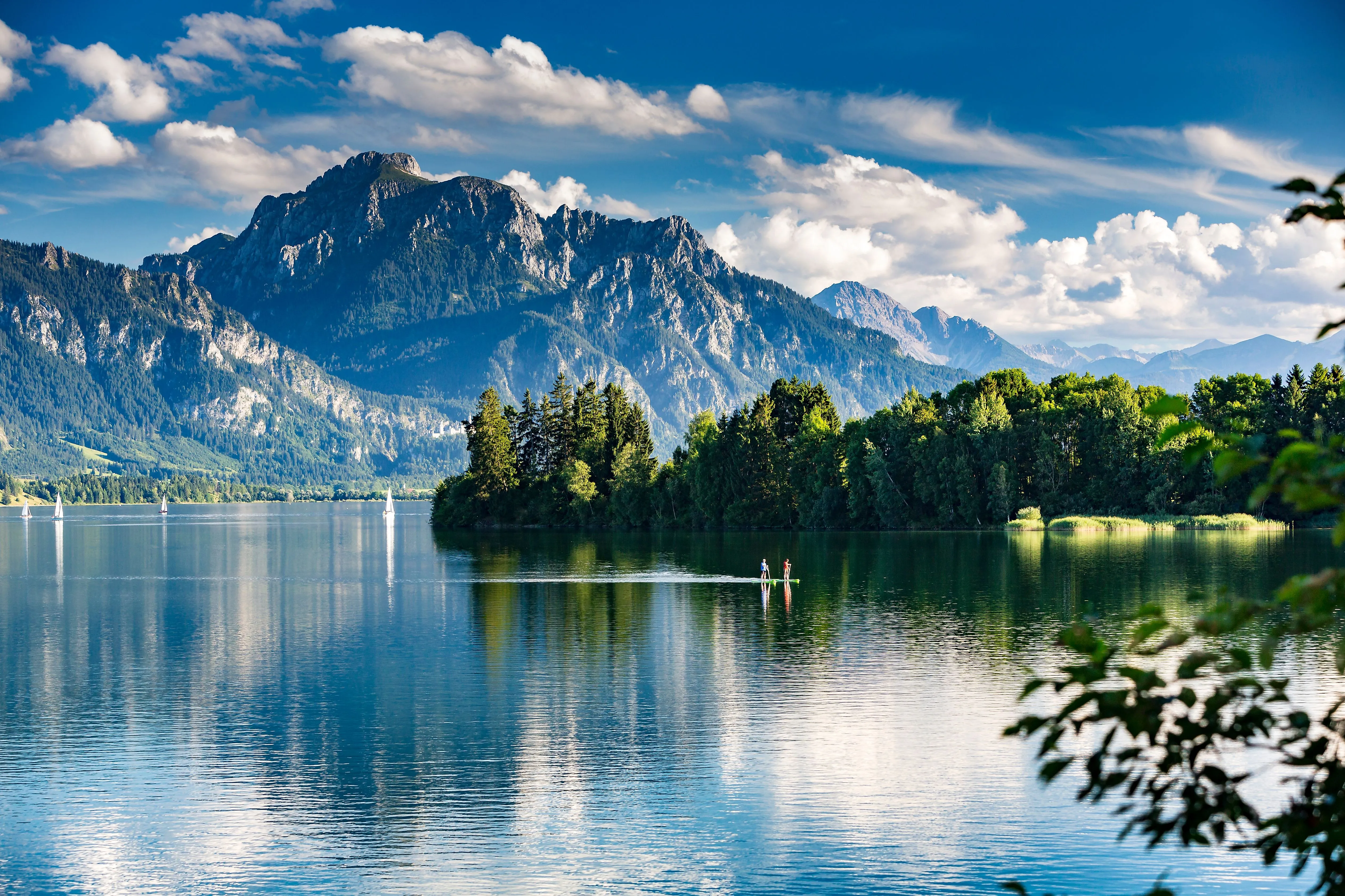 Blick über den Forggensee im Allgäu mit Segelbooten auf dem Wasser, üppiger Vegetation am Ufer und dem imposanten Alpenpanorama im Hintergrund