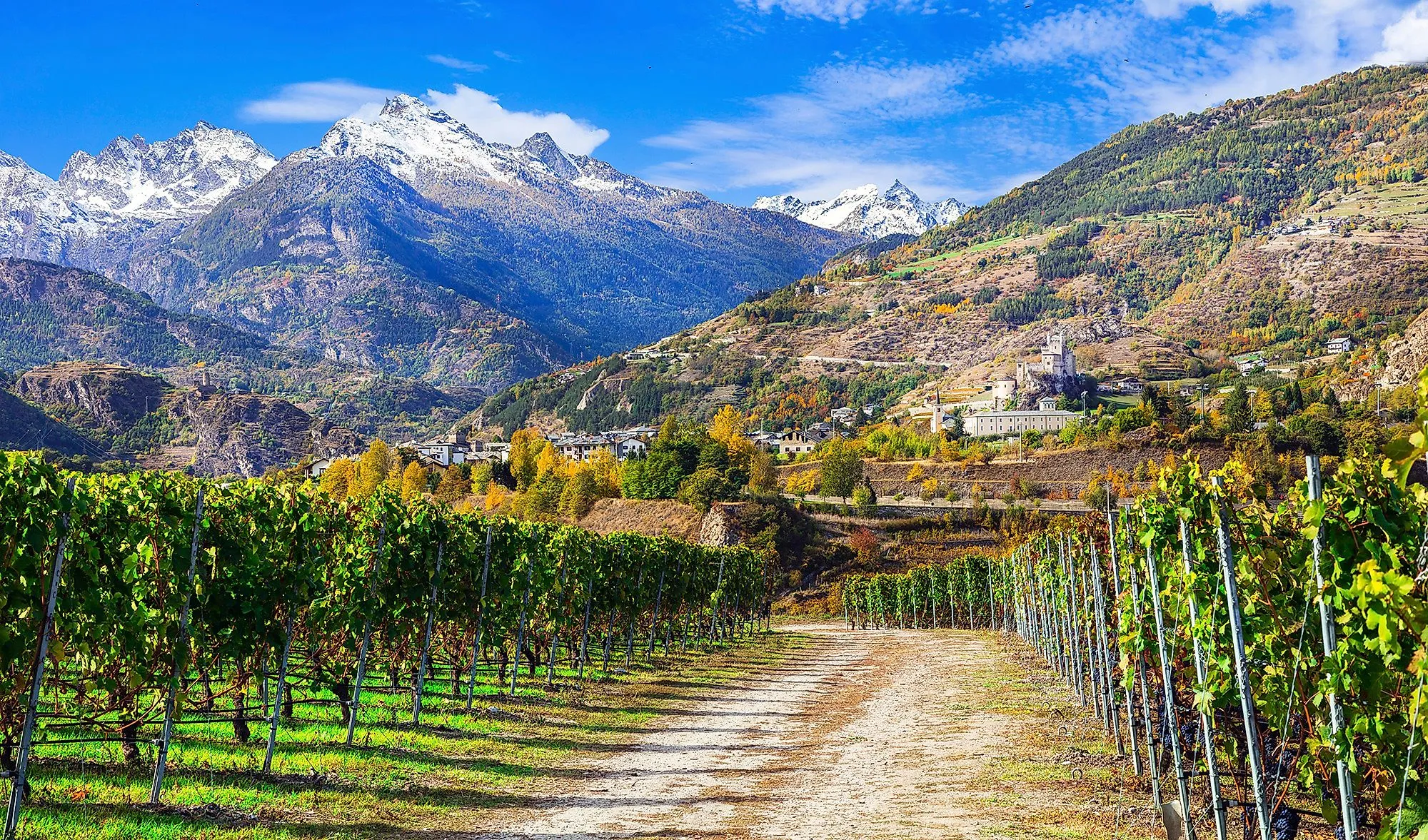 Weinberge im Aostatal mit Blick auf bunte Hänge und schneebedeckte Alpengipfel