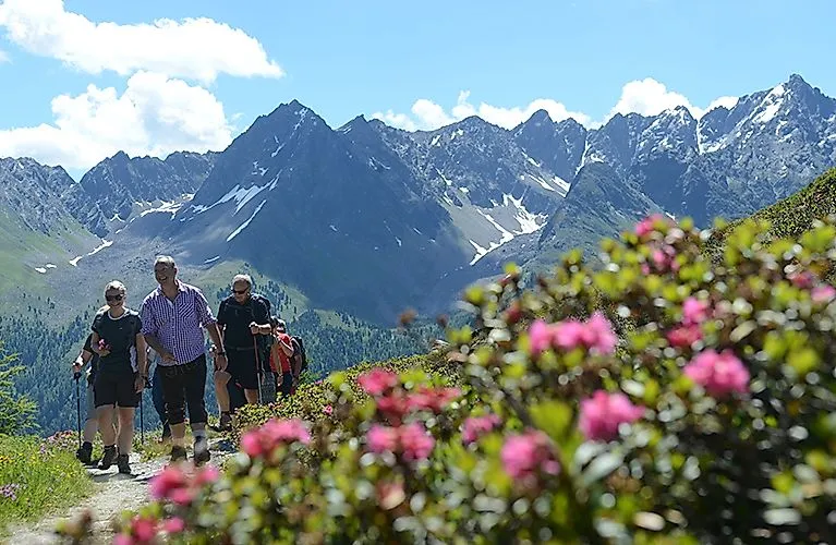 Wanderer auf einem Bergpfad in Galtür, umgeben von Alpenrosen und imposanten Berggipfeln.