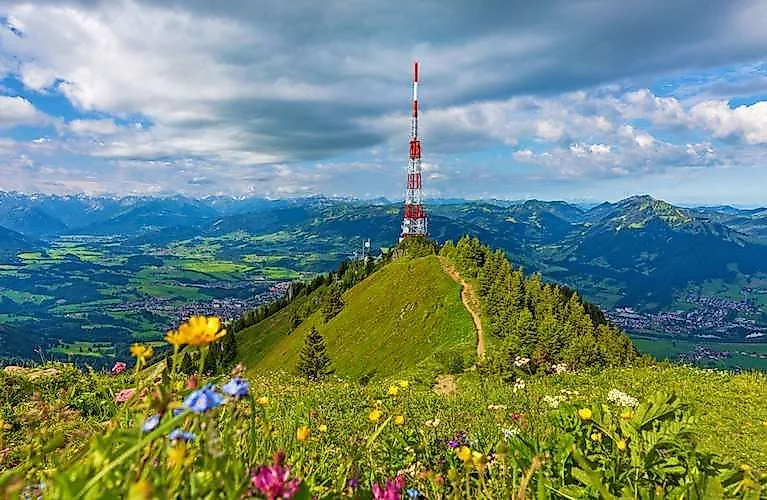 Blumenwiese mit Blick auf den Grünten-Gipfel und Sendeturm bei Burgberg im Allgäu