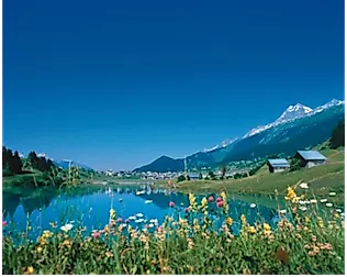 Sommerlandschaft mit blühenden Wiesen, Blick auf Brigels und die Schweizer Alpen im Hintergrund.