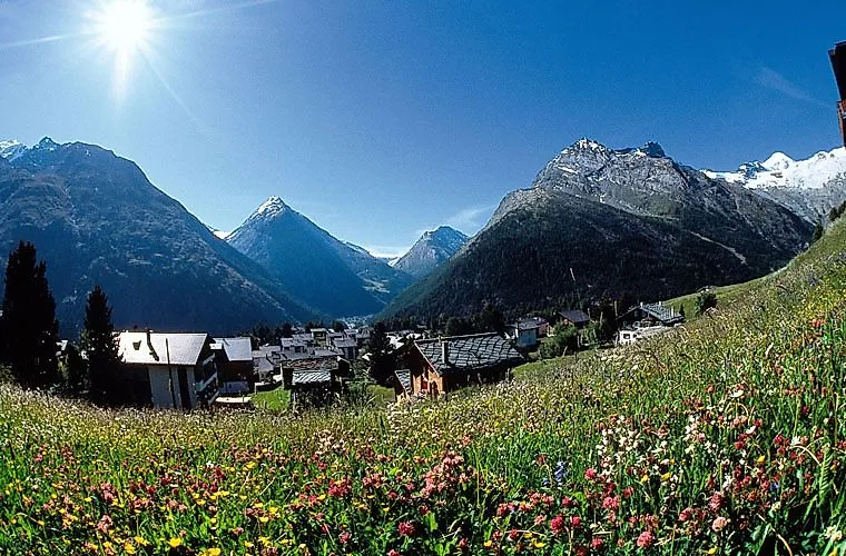 Blühende Wiese vor Alpenkulisse und Dorf im Saastal bei sonnigem Sommerwetter.