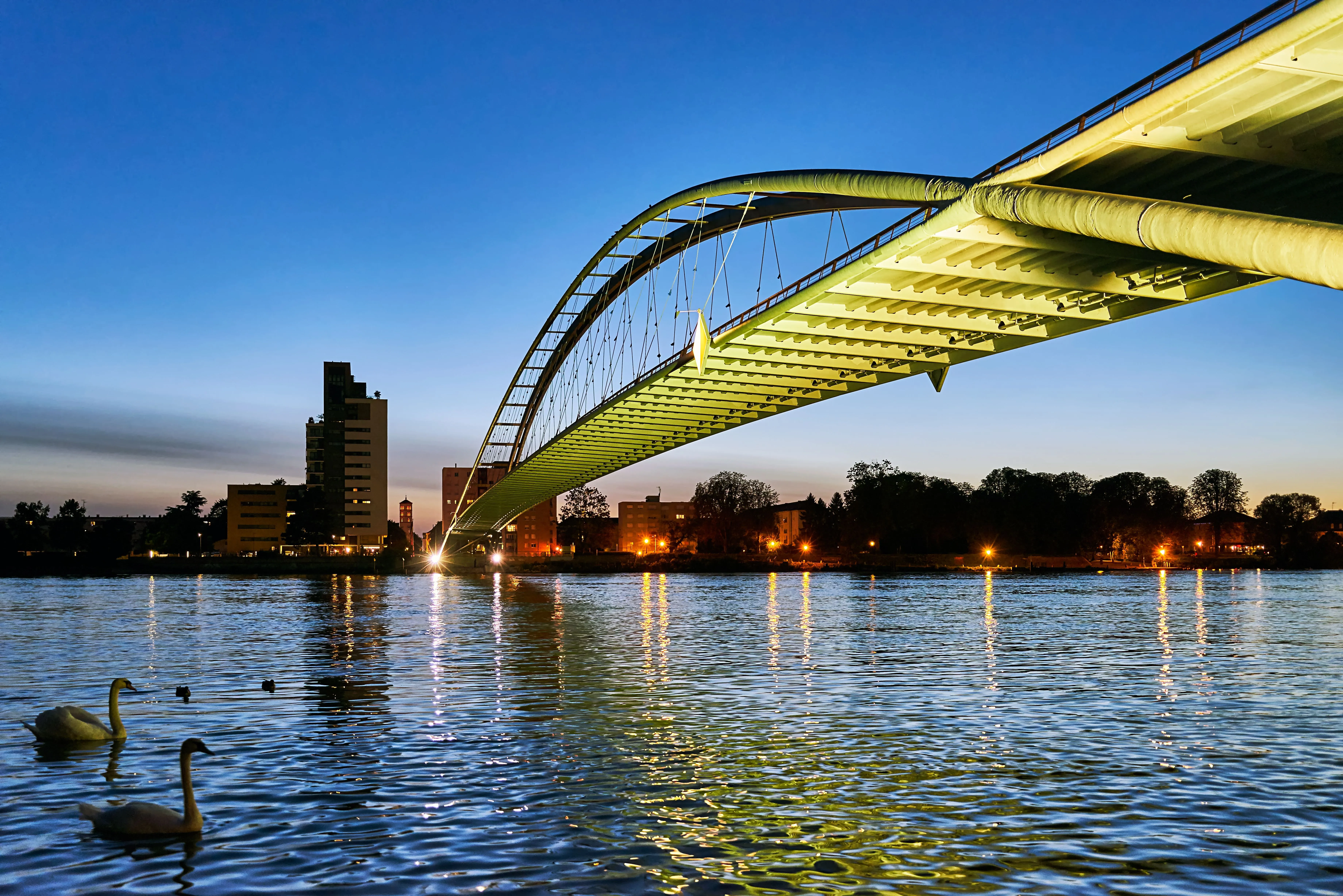 Dreiländerbrücke über den Rhein bei Abenddämmerung mit beleuchteter Skyline und Schwänen im Wasser
