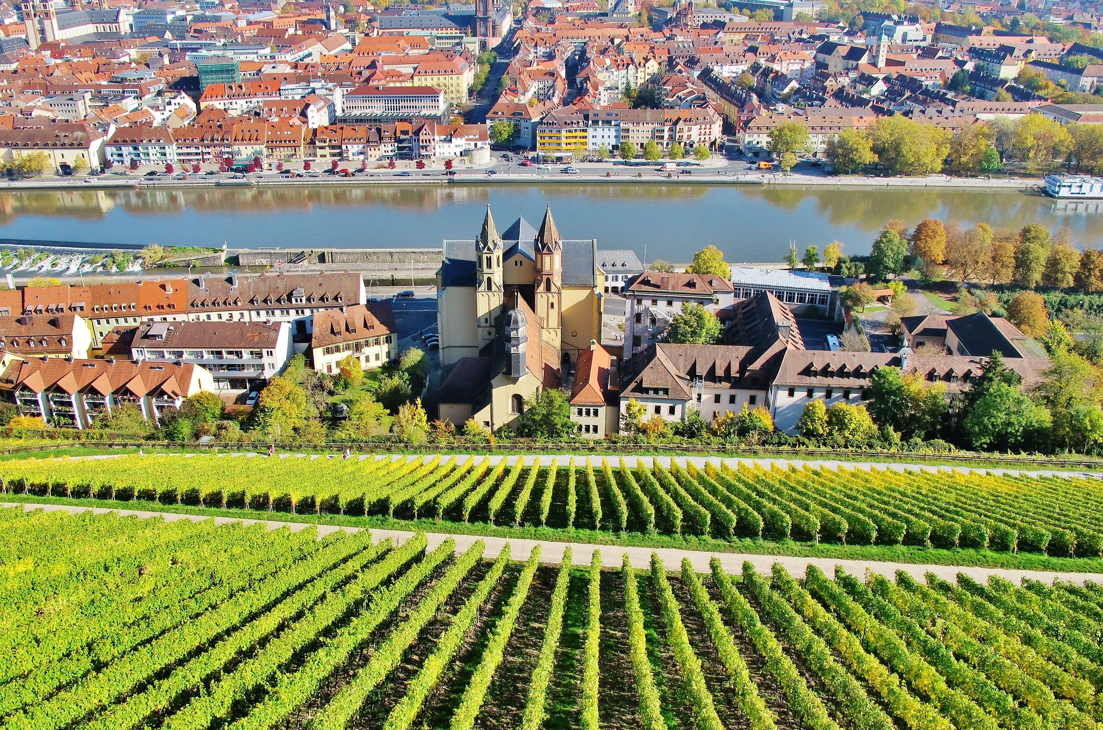 Blick auf Würzburgs Altstadt und die Kirche St. Burkard mit umliegenden Weinbergen am Main.