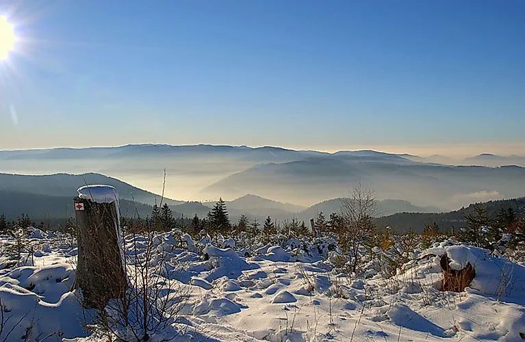 Paisaje invernal en el Langmartskopf con vistas al Hornisgrinde cubierto de nieve en la Selva Negra.