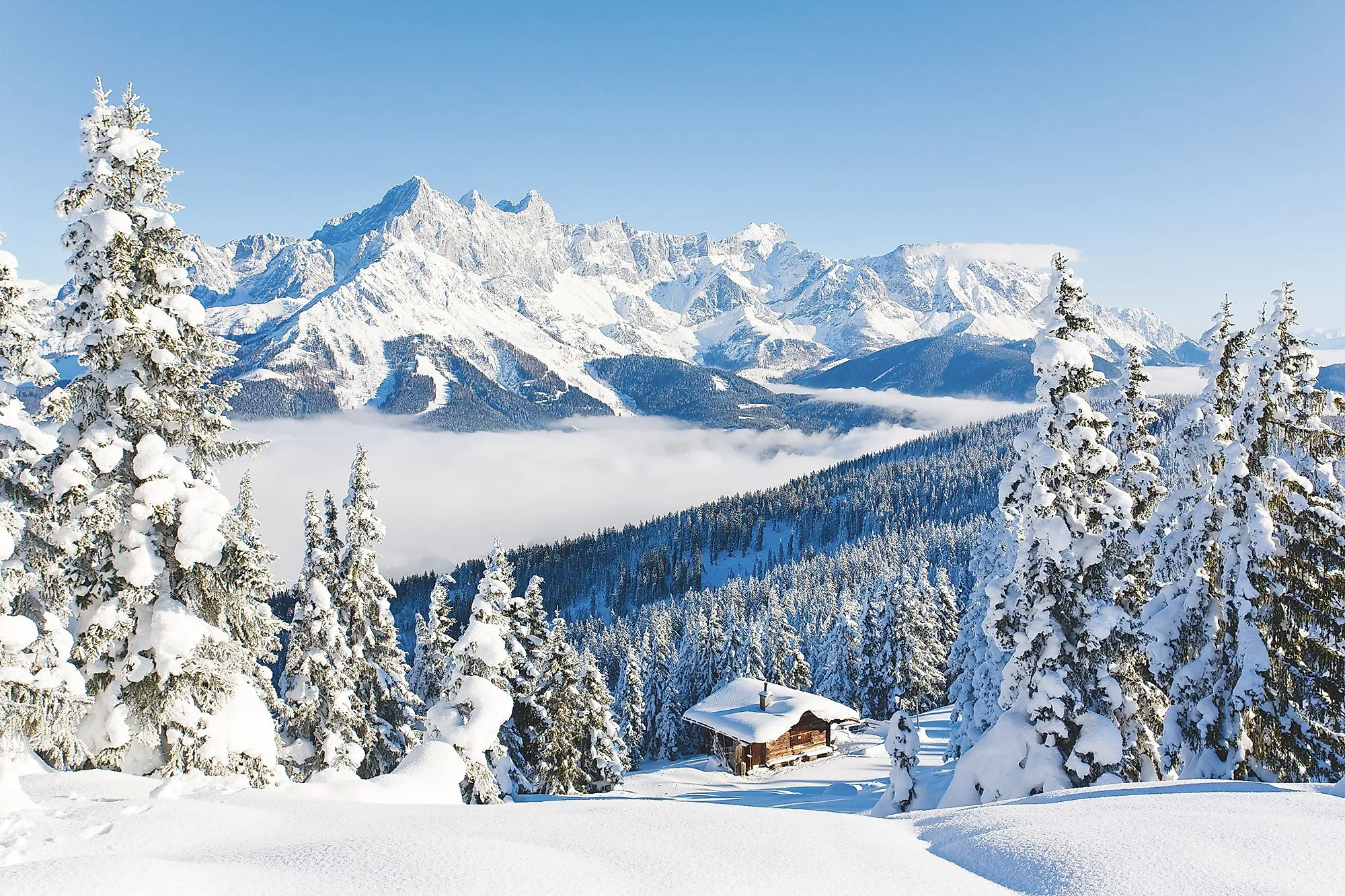 Verschneite Winterlandschaft mit schneebedeckten Bäumen und Berghütte, im Hintergrund das beeindruckende Dachsteinmassiv über einem Meer aus Nebel.