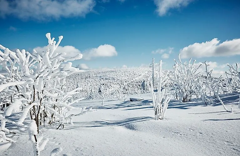 Winterlandschaft mit schneebedeckten Büschen und Hügeln unter blauem Himmel in Neureichenau