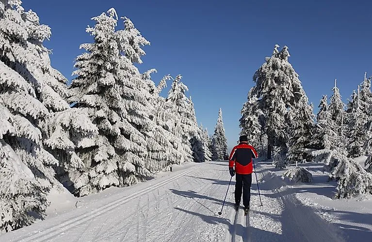 Langläufer in roter Jacke auf perfekt gespurter Loipe zwischen verschneiten Bäumen nahe Oberwiesenthal.
