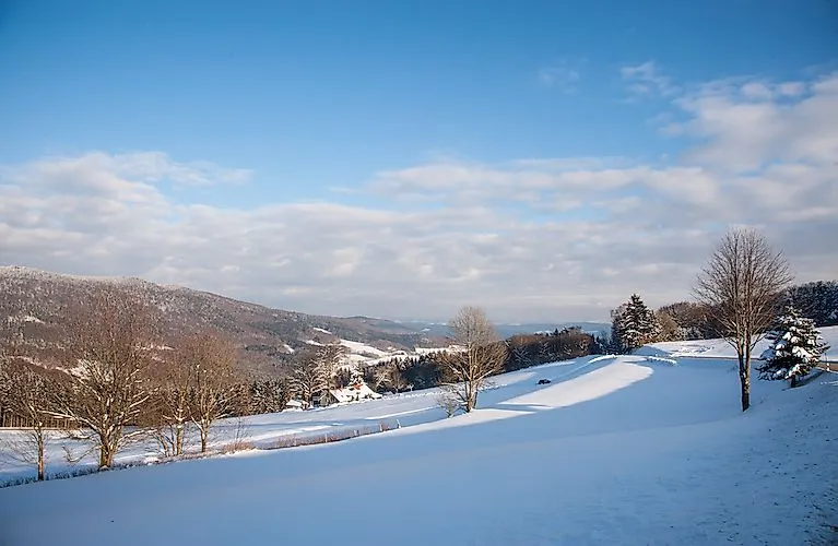 Verschneite Hügellandschaft in Schöfweg mit Blick auf den Brotjacklriegel im Bayerischen Wald bei blauem Himmel
