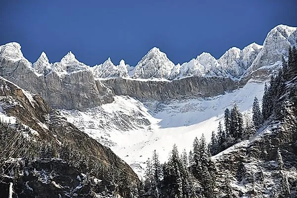Cime innevate dello Tschingelhörner, vicino a Elm, in Svizzera, sotto un cielo azzurro con conifere in primo piano